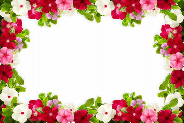 Wall Mural - flower texture frame in white background