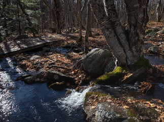 Blue water flowing between rocks and trees in a forest at Arrowhead Park in Ontario in autumn