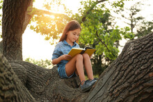 Cute Little Girl Reading Book On Tree In Park