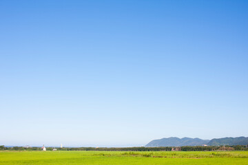 Poster - 田んぼと空