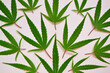 © natalia - White background with a lot fresh cannabis leaves.