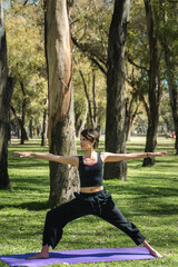 Canvas Print - Vertical shot of a young Caucasian female doing yoga practice in the park