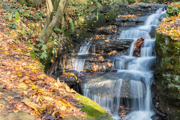 Wall Mural - stream and fallen leaves in autumn