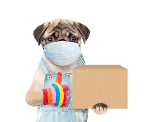 Poster - Pug puppy wearing medical protective mask and overalls holds big box and shows thumbs up gesture. isolated on white background
