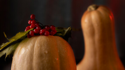 red viburnum berries lie on a wet pumpkin on black background