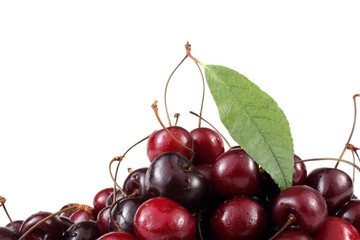 Sticker - Cherries with leaf