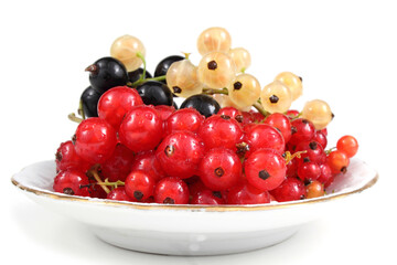 Canvas Print - Black, white and red currant