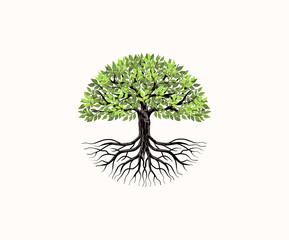 tree and roots vector, tree with round shape