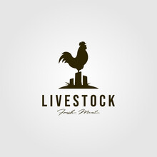 Chicken Livestock Logo Vintage Vector Illustration Design, Rooster Logo Design