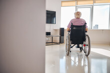 Disabled Person In The Wheelchair Gazing Through The Window