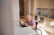 © Viacheslav Yakobchuk - Joyous Caucasian male pensioner with the laptop