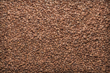 Buckwheat grain. Close-up, full screen.