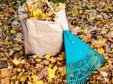 A Plastic Yard Rake Leaning Against A Paper Bag Full Of Leaves