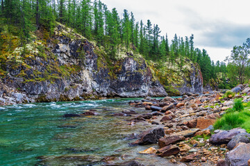 northern river flowing among the rocks in a forest area