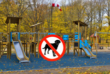 Dogs Are Not Allowed On The Playground.