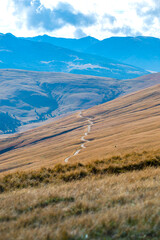 Sticker - Landscape in Sureanu Mountains