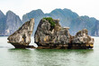Felsen in der Halong-Bucht im Golf von Tonkin in Vietnam.