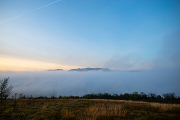 Wall Mural - Morning fog