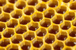 © niyazz - Organic honey comb - healthy food concept