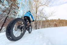 Fat Bike Biking Girl Riding On Snow Trail Path In Winter. Outdoor Sport In Nature Landscape.