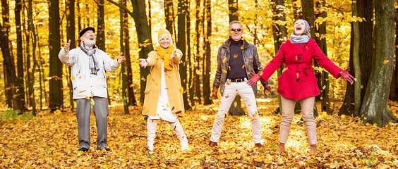 Group of happy senior friends having fun in autumn park.