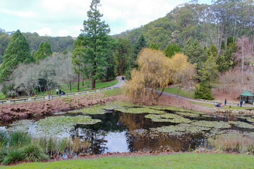 Sticker - autumn in the mountains in Adelaide, Australia