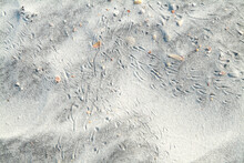 Crab Tracks On White Beach Sand
