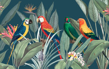Colorful Macaws With Tropical Background Illustration