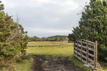 Open gate into a fall colored landscape