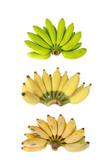 Wall Mural - Cultivated banana green and yellow isolated on white background with clipping path.