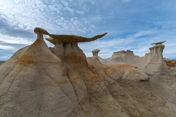 Wall Mural - The Wings rock formation in Bisti Wilderness area, New Mexico, USA	