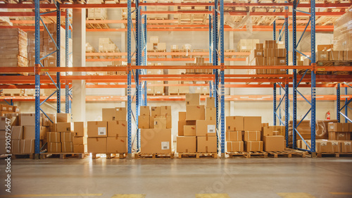 Large Retail Warehouse full of Shelves with Goods in Cardboard Boxes and Packages without People. Logistics, Sorting and Distribution Facility for Product Delivery.