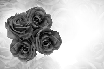 Wall Mural - black and white, beautiful four rose flower bouquet on blur rose background, copy space