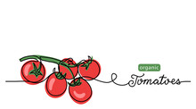 Cherry Tomatoes Branch Vector Lineart Illustration. One Line Drawing Art Illustration With Lettering Organic Tomatoes.