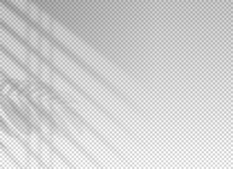 Wall Mural - shadow of window blinds. shade on transparent background. overlay effect plant leaf. reflection shad