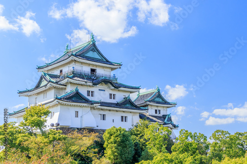 Fotografía 和歌山城 和歌山県和歌山市 Wakayama
castle Wakayama-ken Wakayama city