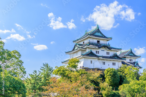 Cuadros en Lienzo 和歌山城 和歌山県和歌山市 Wakayama
castle Wakayama-ken Wakayama city