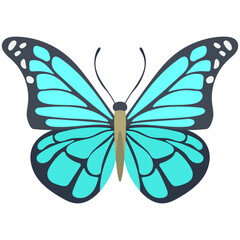 Poster - 
Flat icon design of a butterfly
