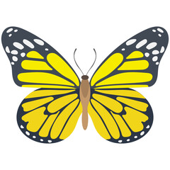 Poster - 
Flat icon design of a butterfly
