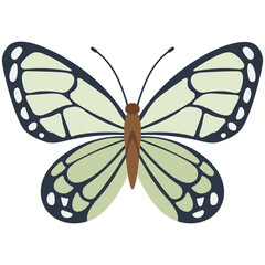 Poster - 
Flat icon design of a butterfly
