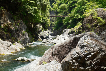 Canvas Print - 鳩ノ巣渓谷（多摩川）