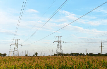 High voltage power lines on blue sky background. Electric transmission pylon tower. Wire electrical energy. Electricity concept