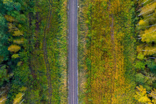 Railway Track Line Through Autumn Forest, View From Above