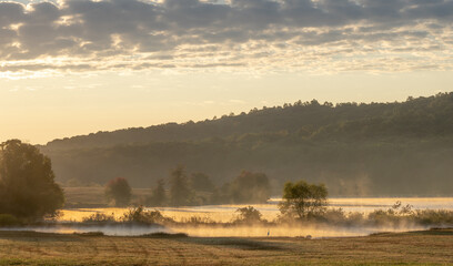 Canvas Print - Beautiful wild landscape with a bird in a sand dust