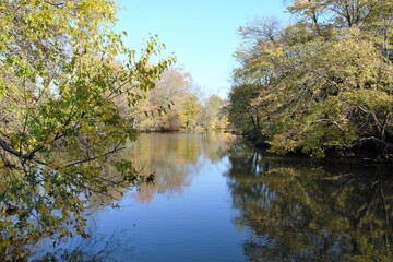 Wall Mural - reflection of trees in the water