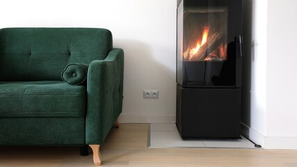 Modern scandinavian living room with green sofa and a modern freestanding contemporary fireplace.