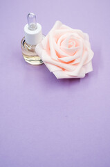 Poster - Vertical shot of a bottle of essential oil next to a beautiful pink rose on a purple surface