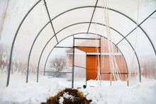 Polycarbonate Greenhouse At The End Of Winter.Snow Scattered In The Greenhouse To Moisten The Soil. 