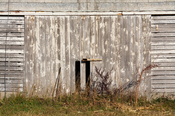 Wall Mural - Barn Doors