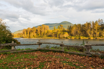 Yellow foliage on green grass in public park at autumn. A wooden fence separates the park from the river